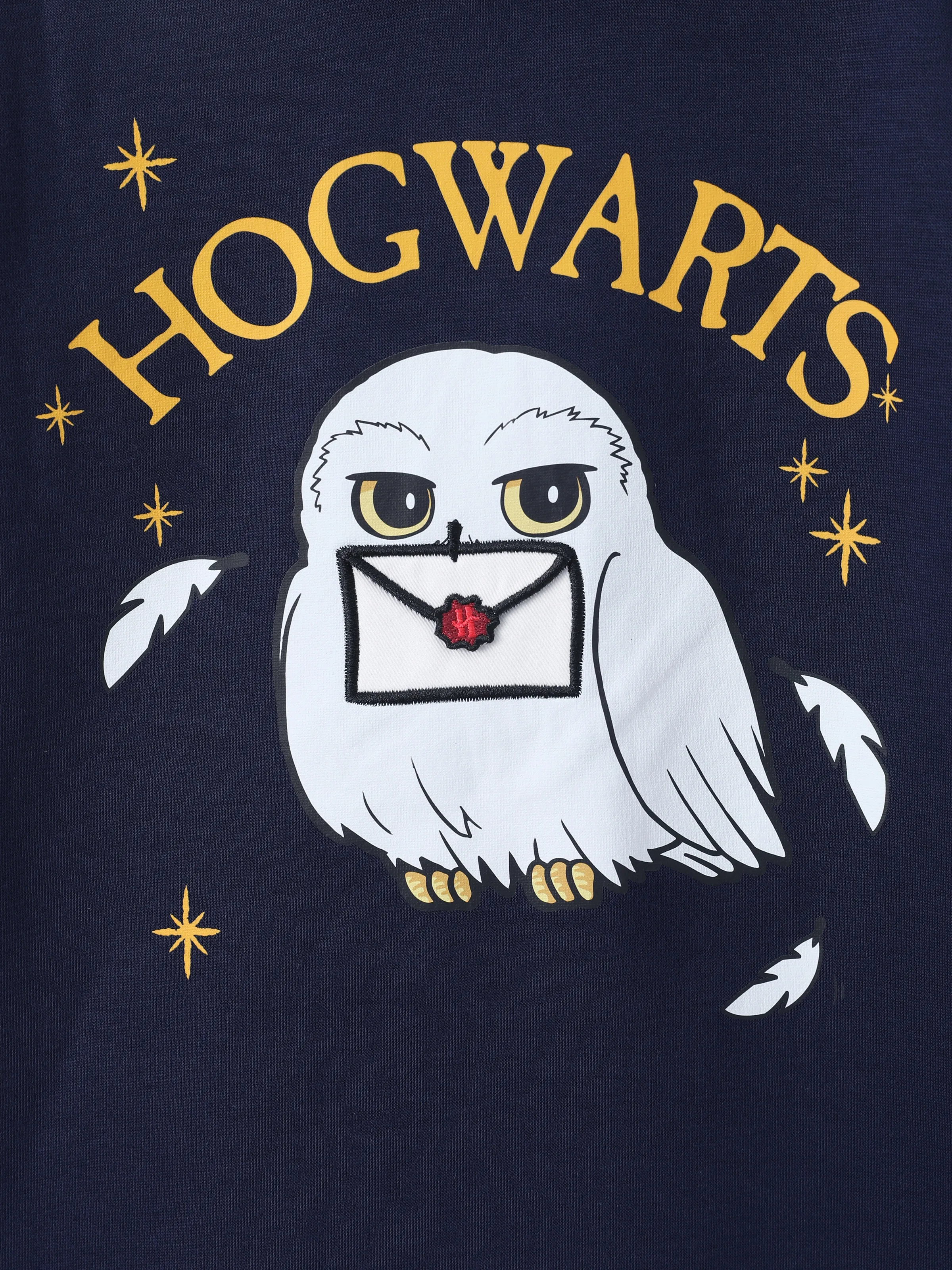 Harry Potter Kid Girl 1pc Owl 3D Envelop Plush Long-sleeve Hooded Dress 
 royalblue - Image 6