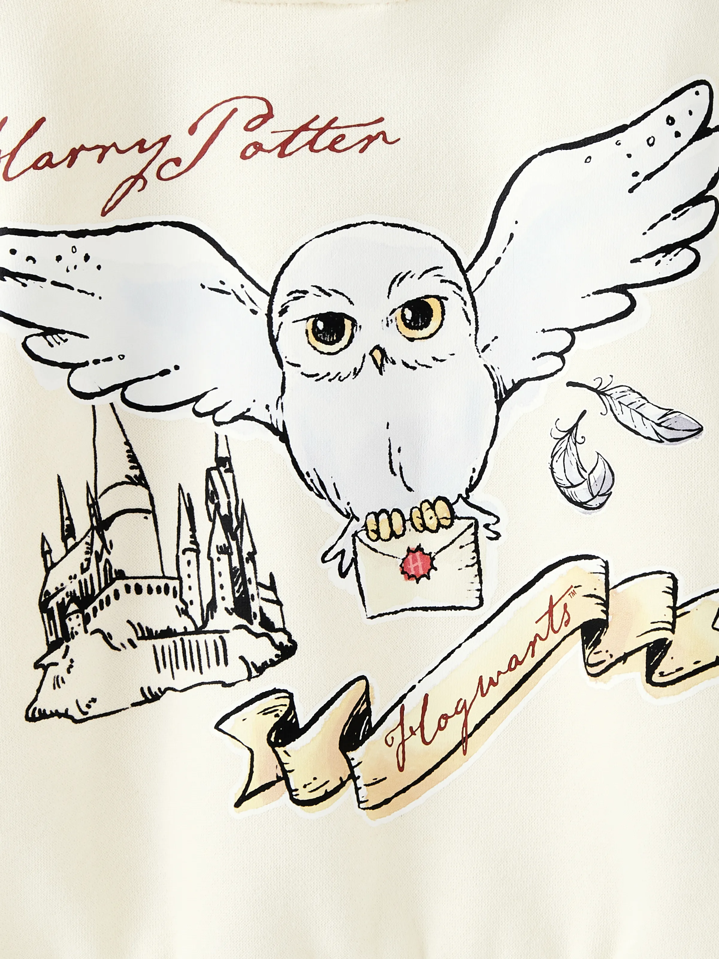 Harry Potter Toddler Boy Owl Character Print Oversized Fleece Hoodies Apricot - Image 5