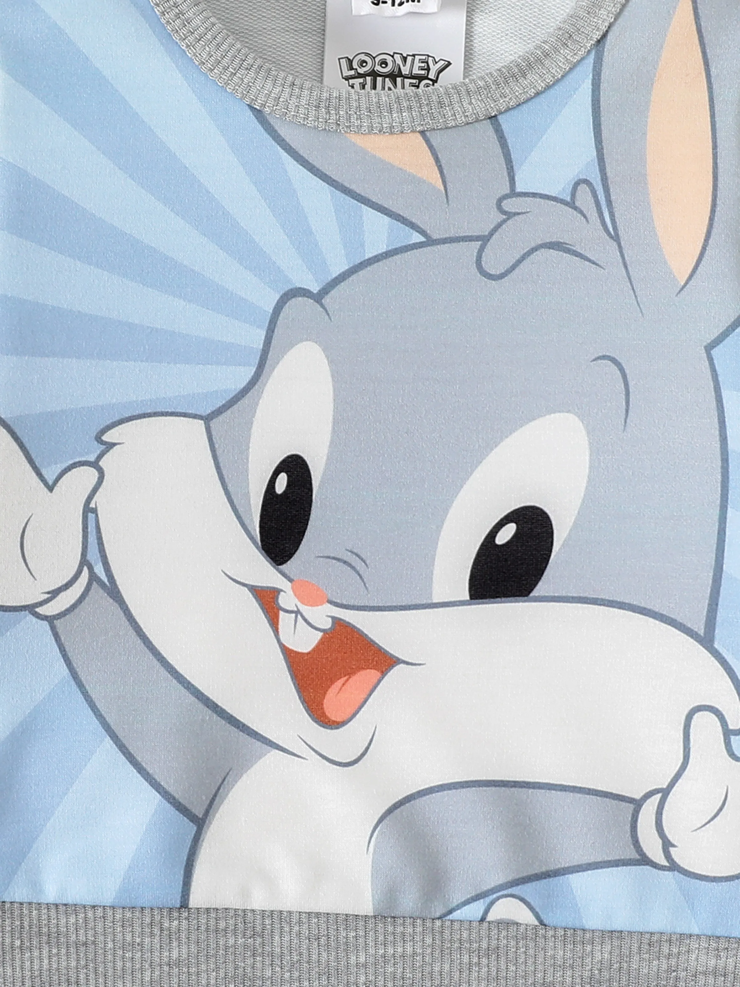 Looney Tunes Baby Boy/Girl Cartoon Print Colorblock Long-sleeve Sweatshirt Flecked Grey - Image 5