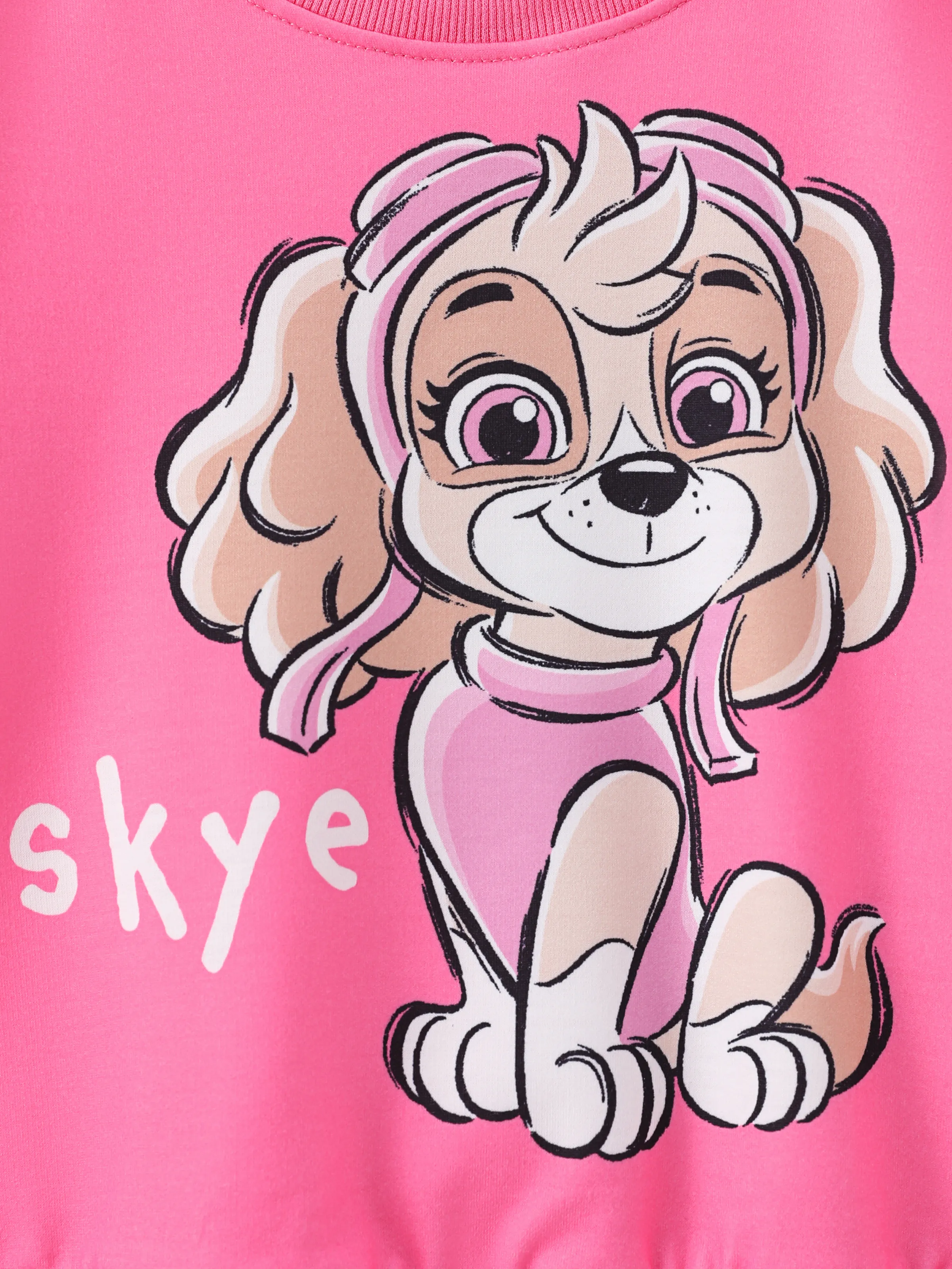 PAW Patrol Toddler Girl Skye Character Print Sweatshirt Roseo - Image 7